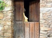 Detalle una puerta con gatera en el Valle del Jerte