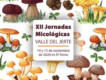 XII Jornadas Micológicas  VALLE DEL JERTE  14 y 15 de noviembre